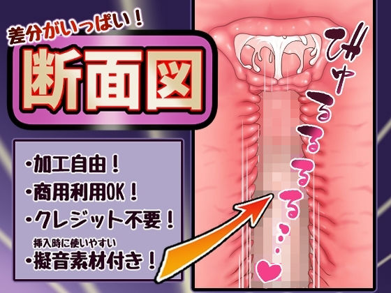 差分がいっぱい！断面図(きつねの素材屋さん) [d_566514]