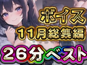 26分 2024年11月 ボイス総集編(rino) [d_567075]