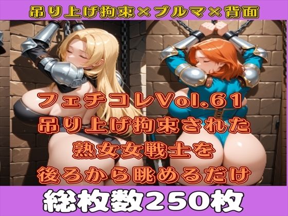 フェチコレVol.61 吊り上げ拘束された巨乳ビキニアーマー女戦士の熟女を後ろから眺めるだけ【総枚数250枚】(満点星) [d_564919]