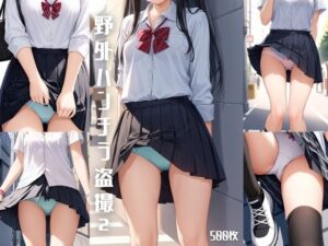 野外パンチラ盗撮2【500枚】(女子高生) [d_569214]