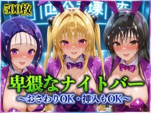 卑猥なナイトバー  〜おさわりOK・挿入もOK〜 Vol.1(アクメガール) [d_570754]