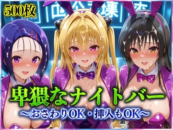 卑猥なナイトバー  〜おさわりOK・挿入もOK〜 Vol.1(アクメガール) [d_570754]