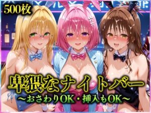卑猥なナイトバー  〜おさわりOK・挿入もOK〜 Vol.2(アクメガール) [d_570759]