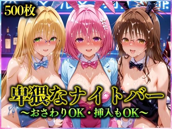 卑猥なナイトバー  〜おさわりOK・挿入もOK〜 Vol.2(アクメガール) [d_570759]