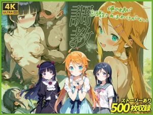 俺の妹が調教されるわけがない(我覇王来栖) [d_573350]