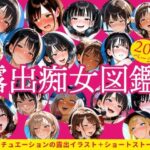 露出痴女図鑑(破滅乱淫オーガズム) [d_573705]