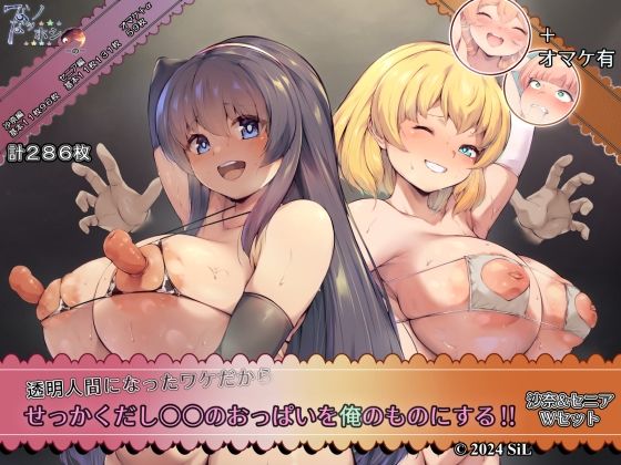 透明人間になったワケだから せっかくだし○○のおっぱいを俺のものにする！！ 沙奈＆セニア Wセット(ほわいとロケット) [d_574617]