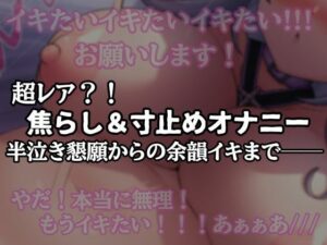 【半ベソ懇願】焦らし寸止めオナニー(アルギュロスの寝室) [d_580721]