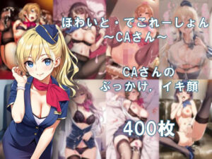 ほわいと・でこれーしょん 〜CAさん〜(AI美少女コンテンツ研究所) [d_581226]