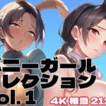 バニーガールコレクション vol. 1(brzezy) [d_581780]