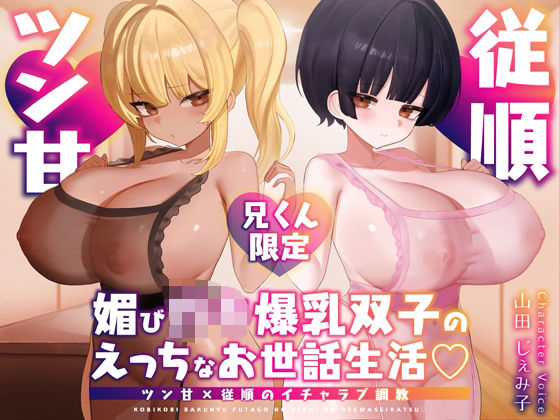 【兄くん限定】媚び〇キ爆乳双子のえっちなお世話生活（はーと） ツン甘×従順のイチャラブ調教【KU100】(デュオナほ！) [d_582529]