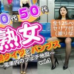 40代50代熟女の網タイツとパンプス〜電車内のフェチ地獄〜 vol.1(あらぶるま18＋（熟女専門）) [d_583186]