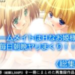 ルームメイトはHなお姫様！毎日朝晩ヤリまくり！！  ＜総集編＞(アロマコミック) [d_584899]