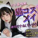 万年発情期猫コスメイド種付け中出し言いなりペット(大好物は美少女です) [d_586196]