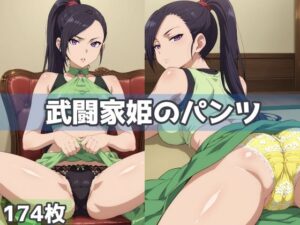 武闘家姫のパンツ(五本木ポメ) [d_586928]