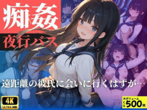 痴姦夜行バス  遠距離の彼氏に会いにいくはずが…(桃太堂) [d_587358]