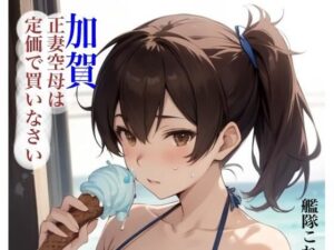 虹かけ誌  艦隊〇れくしょん  イラスト集26 加賀  正妻空母は定価で買いなさい(九情承太郎商店) [d_587521]