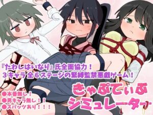 きゃぷてぃぶシミュレーター(Zer0 frame) [d_596833]