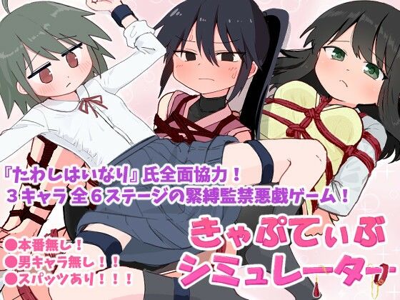 きゃぷてぃぶシミュレーター(Zer0 frame) [d_596833]