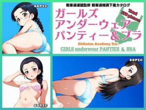 Girls underwear panties and bra 知波単学園編(令和の池田亀太郎) [d_578426]