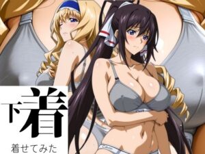 あの下着を着せてみた。 ほ〇き＆セ〇リア(ぶるん) [d_595035]