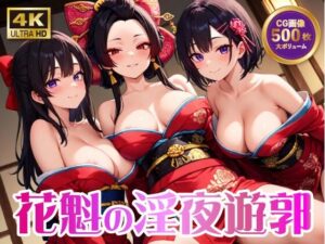 花魁の淫夜遊郭【4K 500枚】(イシスの囁き) [d_596069]