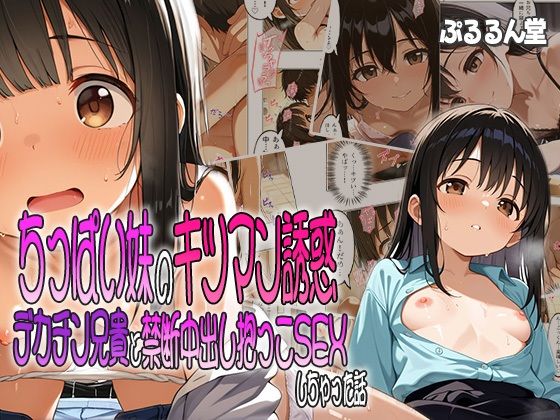 ちっぱい妹のキツマン誘惑〜デカチン兄貴と禁断中出し抱っこSEXしちゃった話(ぷるるん堂) [d_596183]