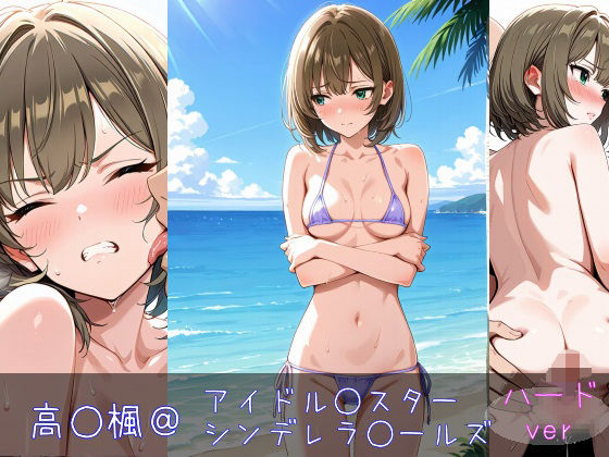 高○楓 ハードver(monaka shop) [d_598659]