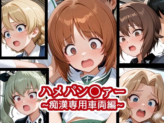 ハメパン〇ァー〜痴●専用車両編〜(バークライトワークス) [d_599564]