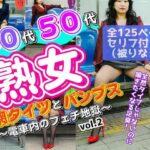 40代50代熟女の網タイツとパンプス〜電車内のフェチ地獄〜 vol.2(あらぶるま18＋（熟女専門）) [d_601425]