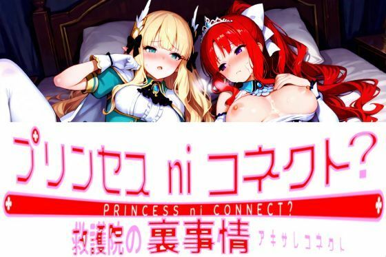 プリンセスni◯ネクト？ 救護院の裏事情 アキサレコネクト(カオスゲート) [d_602949]