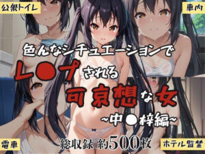 超絶不幸〜色んなシチュエーションでレ●プされる可哀想な女〜中●梓編(HB鉛筆) [d_604444]