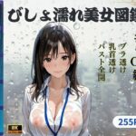 びしょ濡れ美女図鑑 ＃5 OL編(ももいろクレヨン) [d_610912]