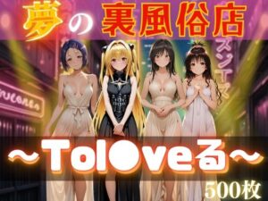 夢の裏風俗店〜Tol●veる〜(daman) [d_613679]