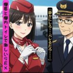スチュワーデスを機内トイレに押し込んでセックスした、機長とスチュワーデスは滞在先で秘密の不倫関係(ひまわり学園) [d_616589]
