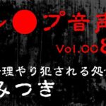 【レ◯プ音声】vol.008 無理やり犯●れる処女 みつき(tumugiko@novel) [d_617883]