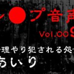 【レ◯プ音声】vol.009 無理やり犯●れる処女 あいり(tumugiko@novel) [d_618460]