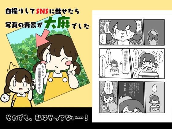 自撮りしてSNSにのせたら写真の背景大麻だった話(ぴょこっとついんて) [d_618806]