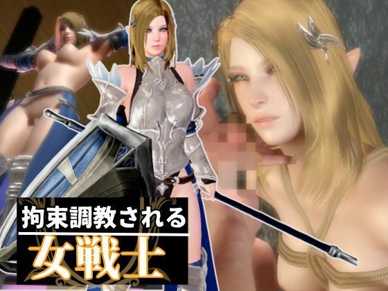 エルフのパラディンを捕まえて調教する動画総集編(異世界転生) [d_582708]