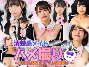 【動画】清楚系メイド11人と密着ハメ撮り｜ぷるぷる胸＆本気腰(sokunukiai) [d_614541]