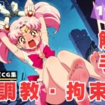 【調教・拘束・触手】ち●うさ(月灯りの下で) [d_615168]