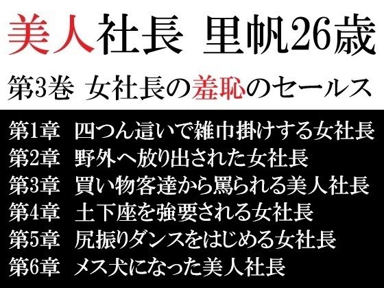 美人社長 里帆26歳 第3巻 女社長の羞恥のセールス(海老沢  薫) [d_617249]