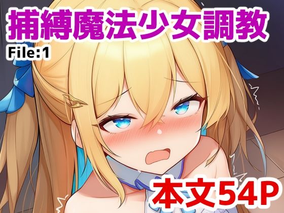 捕縛魔法少女調教 File:1(saltワークス) [d_617333]