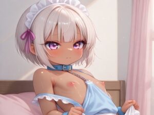 メイドコレクション壱(白屋) [d_617433]