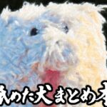 舐めた犬まとめ本(舐めた犬) [d_617989]
