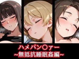ハメパン〇ァー〜無抵抗睡眠姦編〜(バークライトワークス) [d_618926]