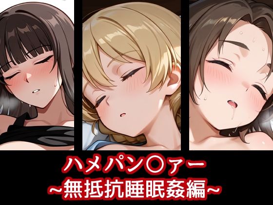 ハメパン〇ァー〜無抵抗睡眠姦編〜(バークライトワークス) [d_618926]