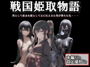 戦国姫取物語(melt) [d_621702]