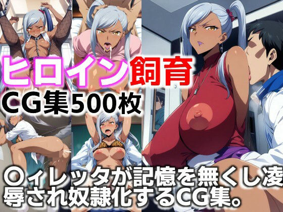ヒロイン飼育  〇ィレッタが記憶を無くし凌●され奴●化するCG集(C.C.WORKS) [d_622181]