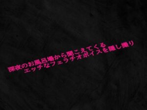 深夜のお風呂場から聞こえてくるエッチなフェラチオボイスを隠し撮り(Studio voice) [d_623890]